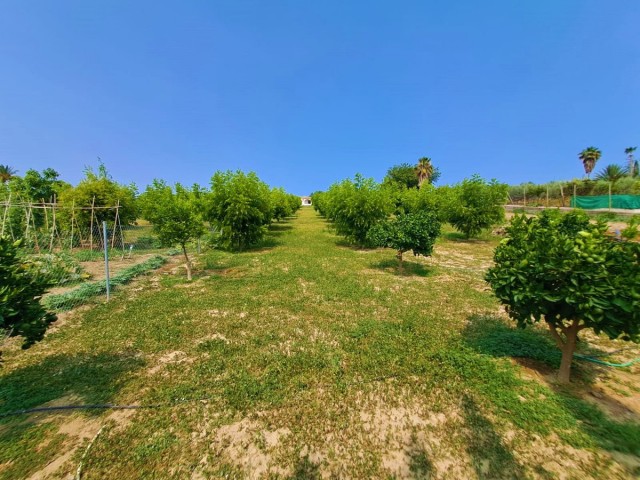 Villa con 1 Dormitorios  en Las Lagunas