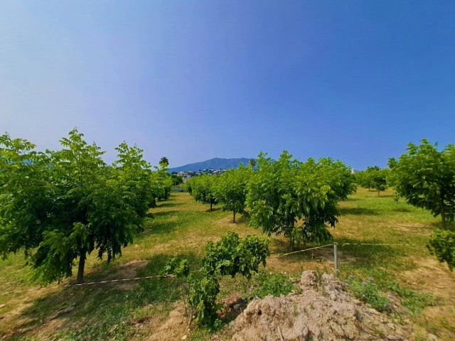 1 Bedrooms Villa in Las Lagunas