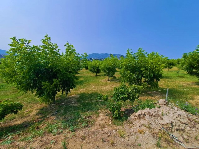 1 Bedrooms Villa in Las Lagunas