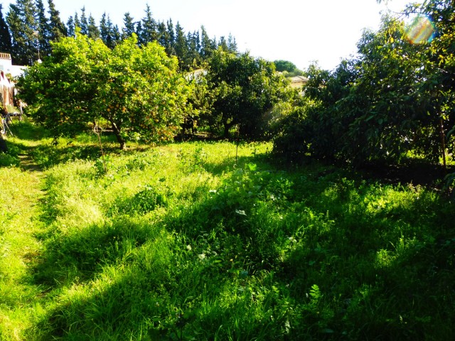 2 Bedrooms Villa in Marbella