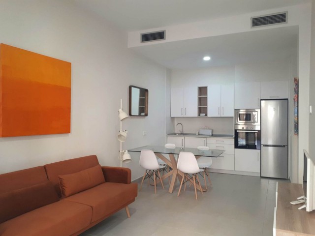 Apartamento con 1 Dormitorios  en Málaga Centro
