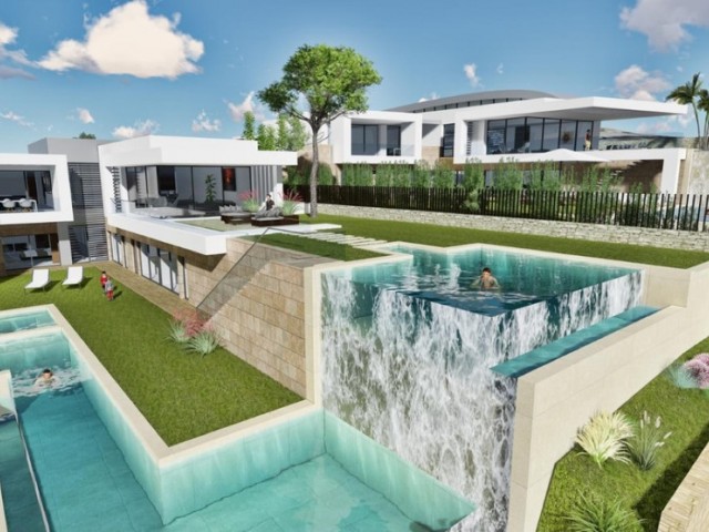  Plot in El Rosario