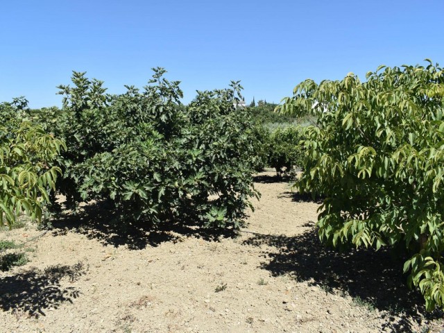 Villa avec 2 Chambres  à Alhaurín el Grande