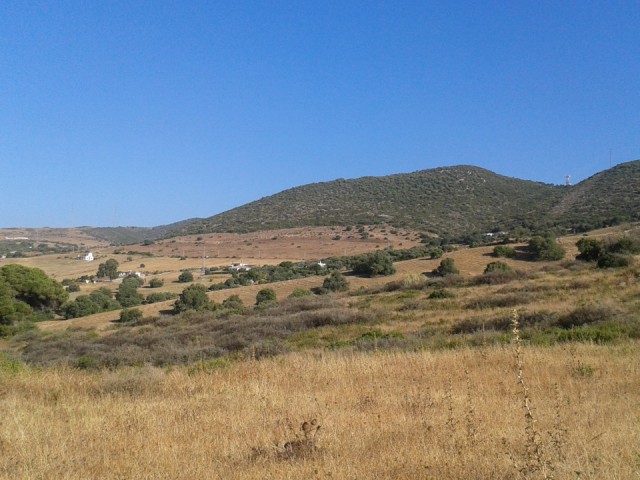 Plot, Casares, R3591997