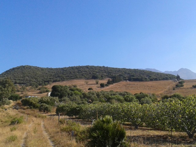 Plot, Casares, R3591997