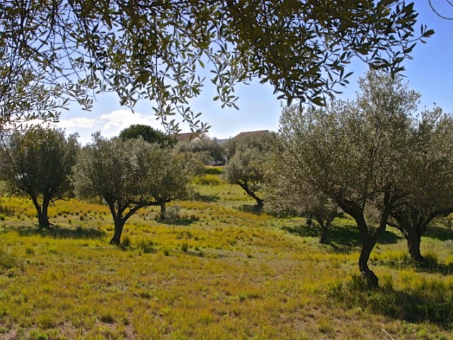 Villa con 4 Dormitorios  en Elviria