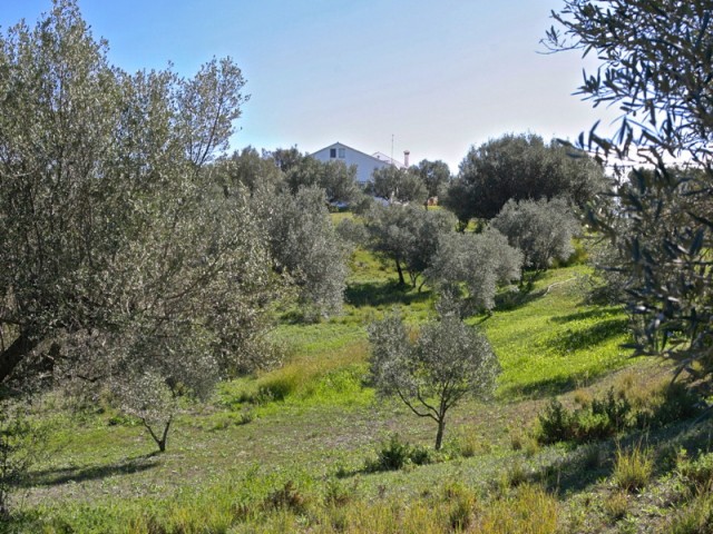 Villa con 4 Dormitorios  en Elviria