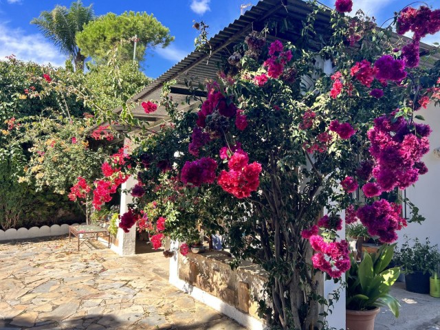 Villa, New Golden Mile, R4453384