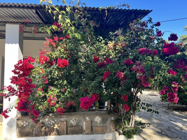 3 Sovrums Villa i New Golden Mile