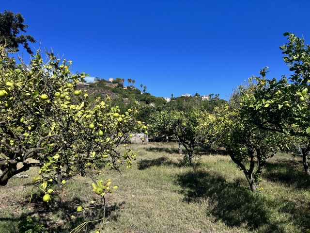 3 Sovrums Villa i New Golden Mile