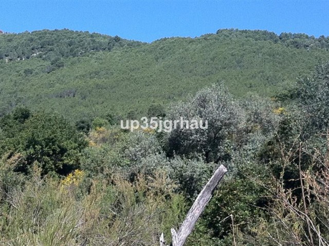  Terreno en Casares