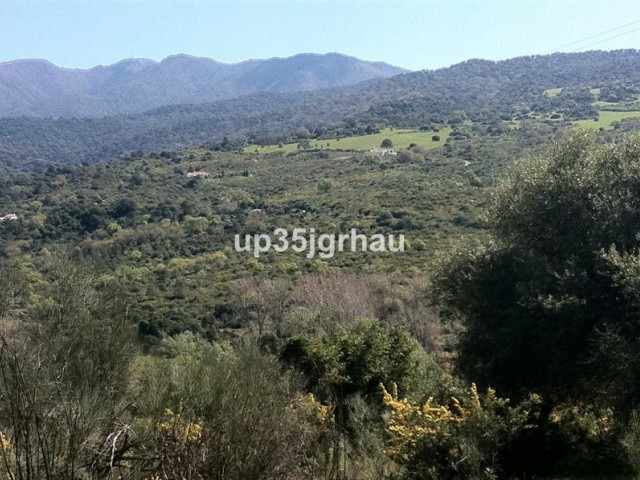  Terreno en Casares