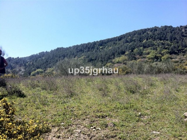  Terreno en Casares