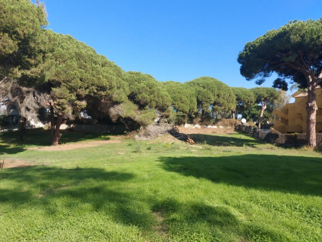  Plot in Elviria