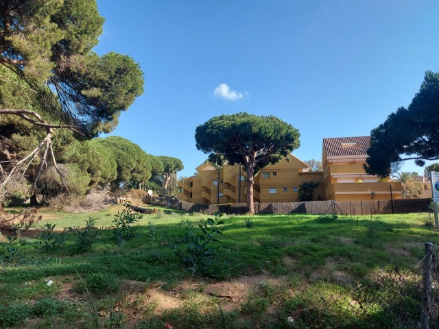  Plot in Elviria