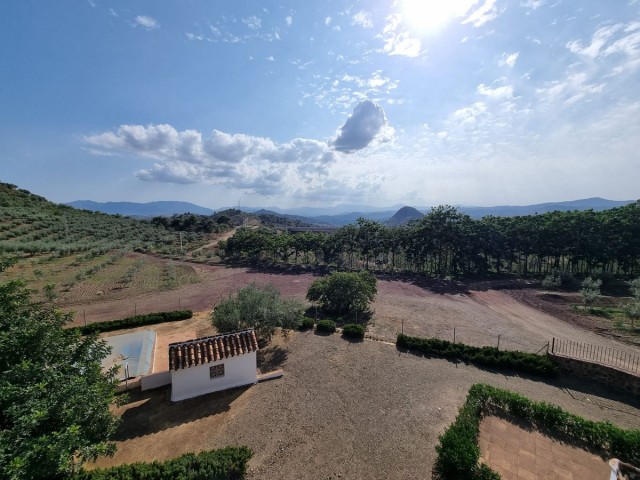 15 Bedrooms Villa in Málaga