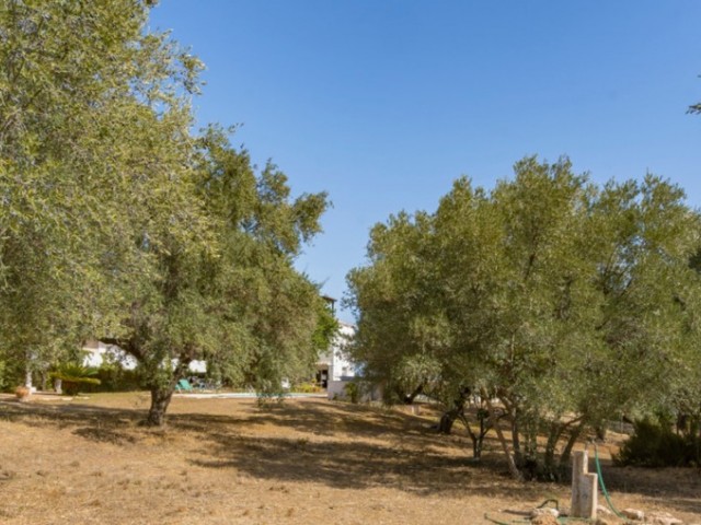 Villa con 17 Dormitorios  en Torremolinos