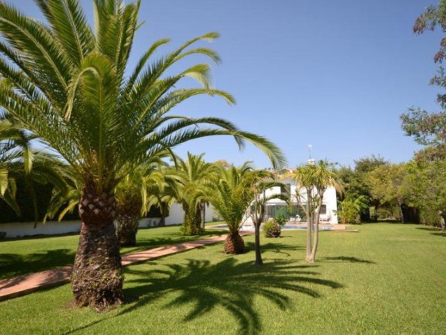 Villa, Guadalmina Baja, R358789