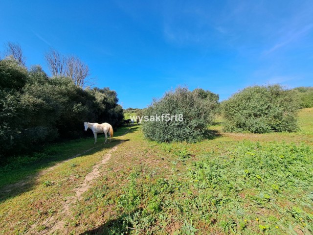 Parcelle, San Roque, R3804994