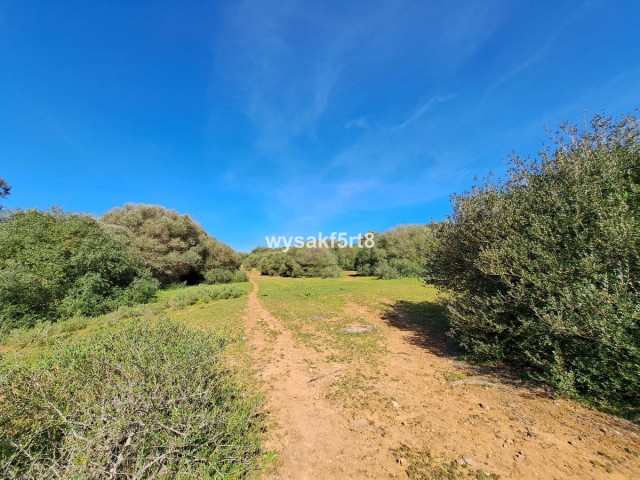 Parcelle, San Roque, R3804994