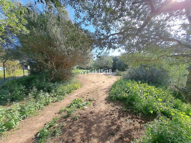  Parcelle à San Roque