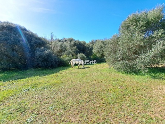  Parcelle à San Roque