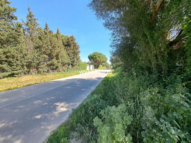  Parcelle à San Roque