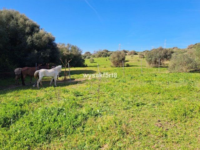  Perceel in San Roque