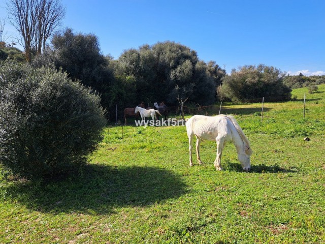  Perceel in San Roque