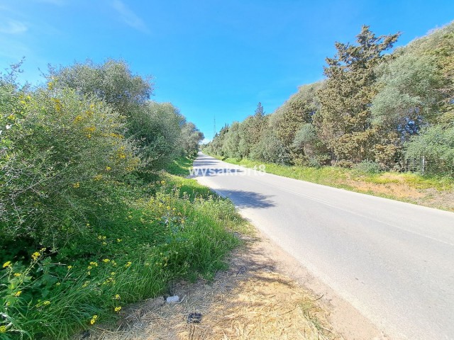  Perceel in San Roque