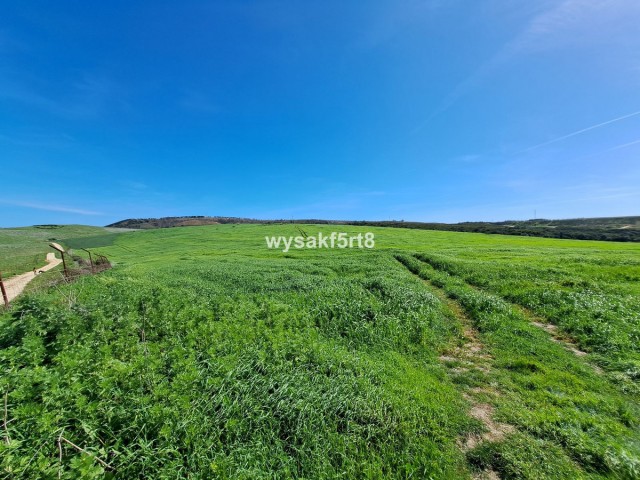  Perceel in San Roque