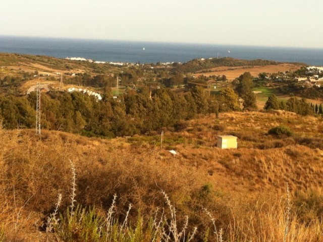  Plot in Casares