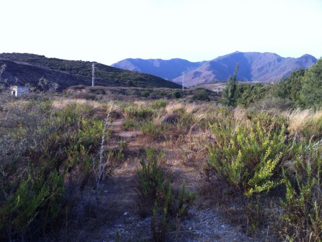  Plot in Casares