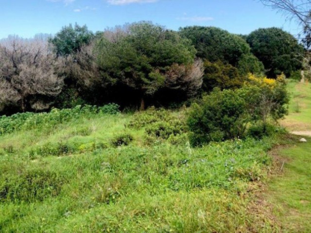  Plot in Sotogrande