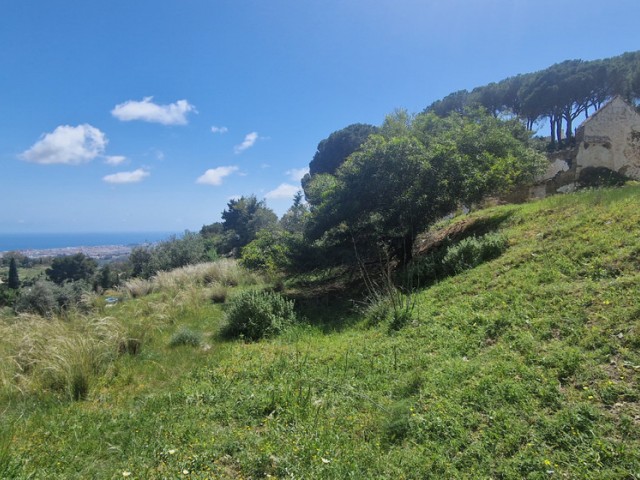  Grundstück in Mijas