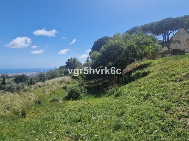  Plot in Mijas