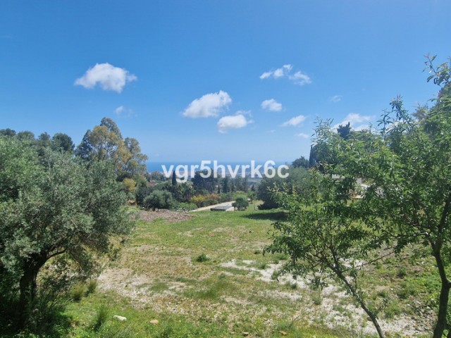  Plot in Mijas