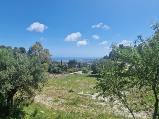  Plot in Mijas