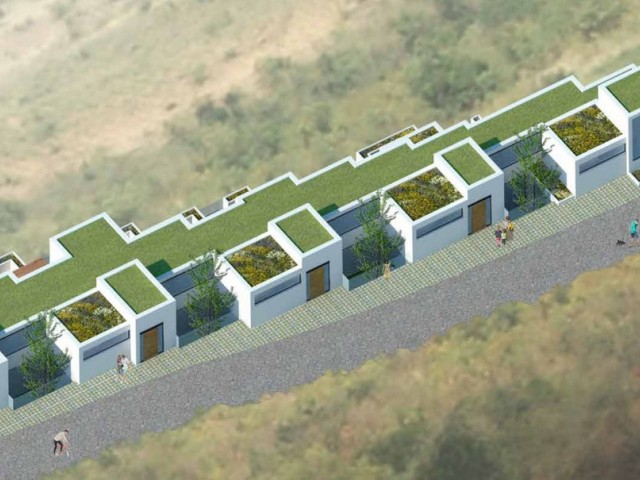  Plot in Torreblanca