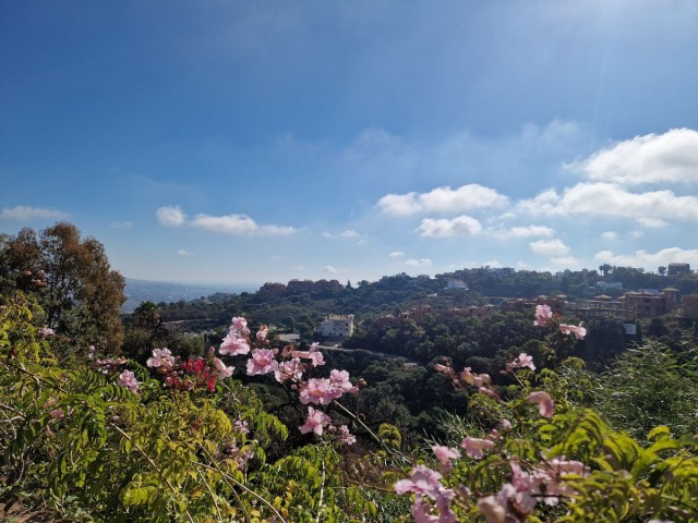 6 Bedrooms Villa in La Mairena