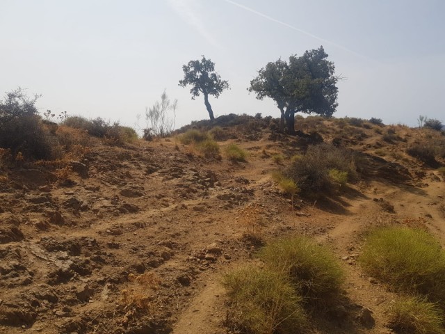  Terreno en Valtocado
