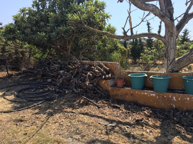  Perceel in Cancelada