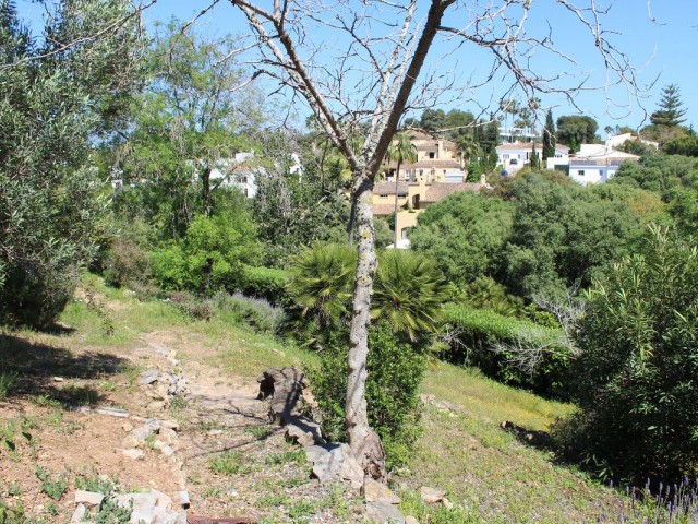 5 Schlafzimmer Villa in Sotogrande Costa
