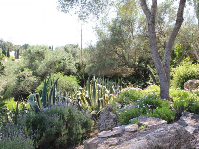 5 Schlafzimmer Villa in Sotogrande Costa