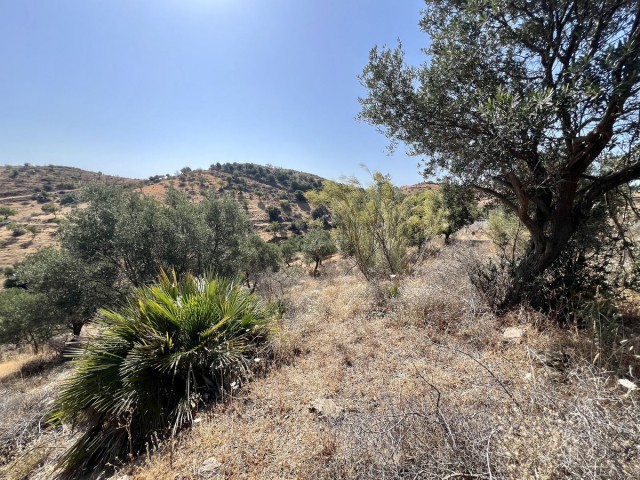 Plot, La Cala, R4762198