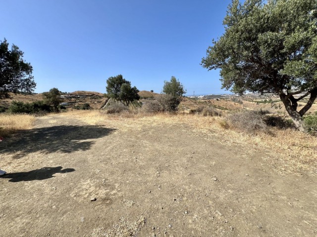  Terreno en La Cala