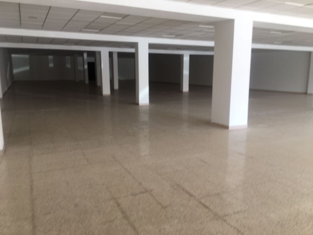 Comercial, San Roque, R4018687