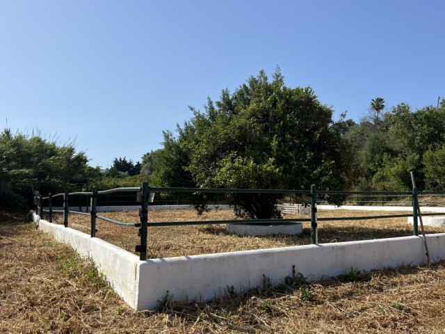 3 Bedrooms Villa in La Duquesa