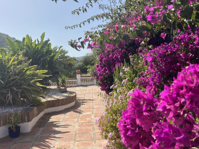 3 Bedrooms Villa in La Duquesa