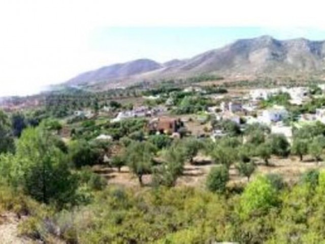  Plot in Torremolinos